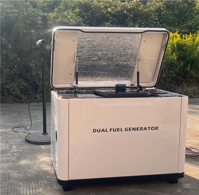 Dual Fuel Generator 12KW Gasoline LNG LPG CNG Big Power Portable Silent Generator